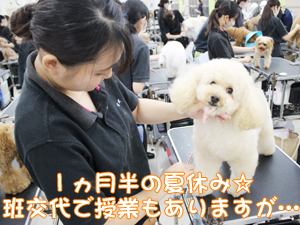 スキルアッププログラム♪